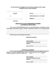 Obj Request Pleading - Clerk of Courts